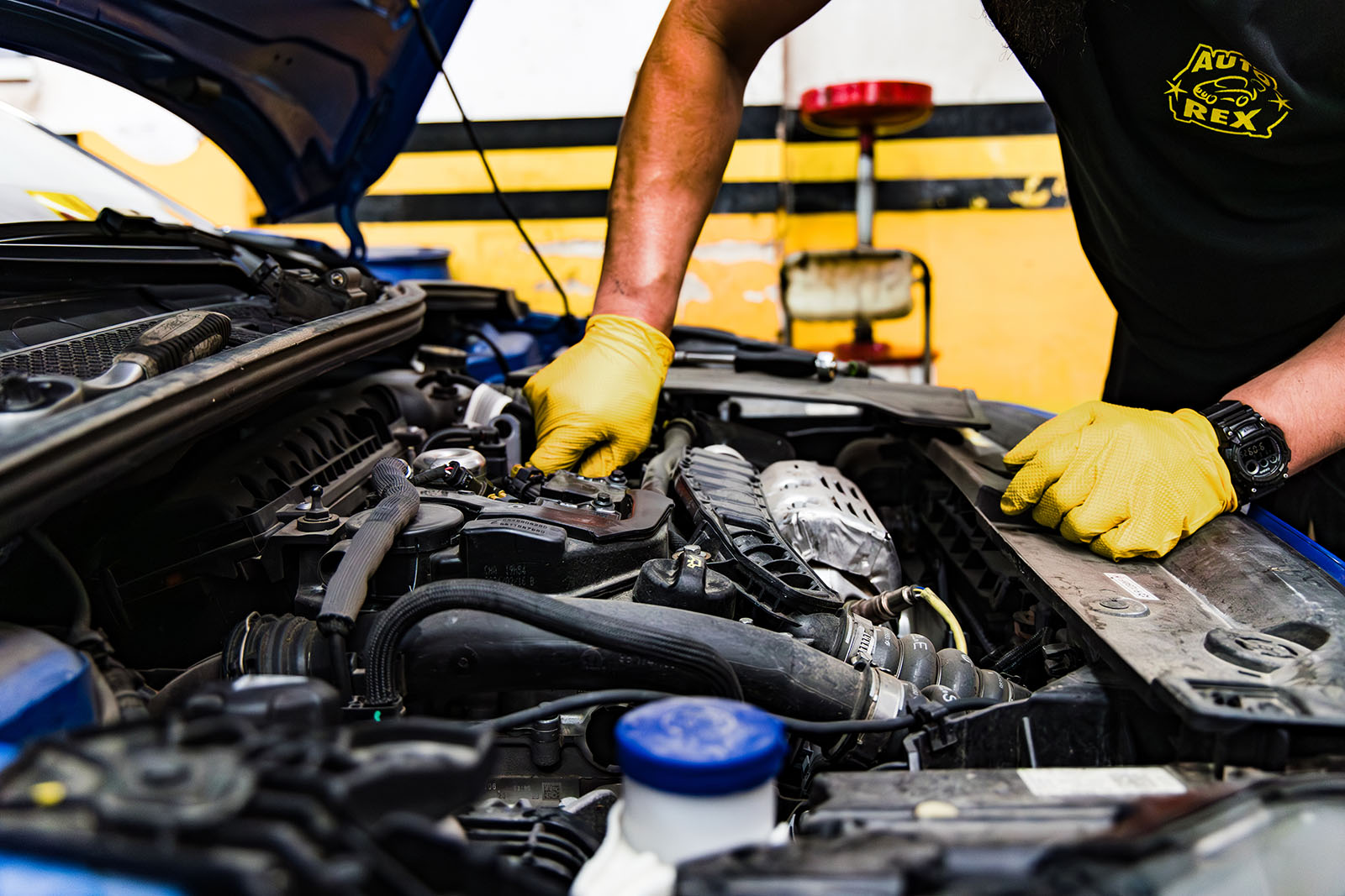 Revisión seguridad Auto-Rex