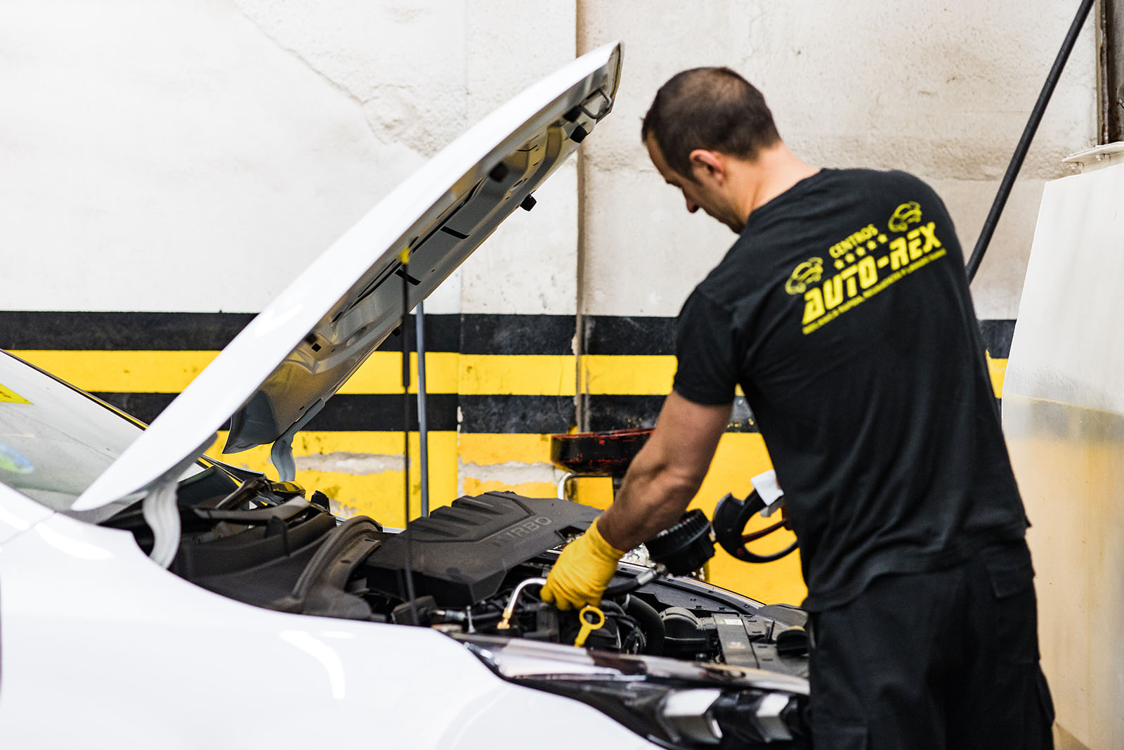 Conductores urbanos Auto-Rex