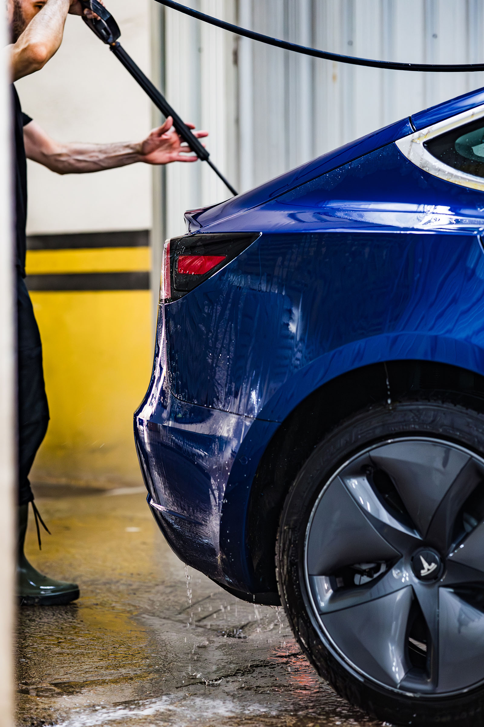 Protección de pintura Auto-Rex